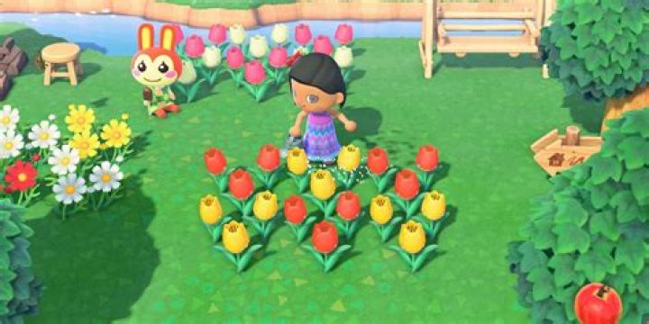 How To Find Sahara In Animal Crossing New Horizons