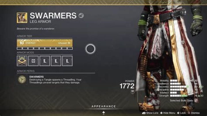 How to find the Swarmers exotic armor in Destiny 2