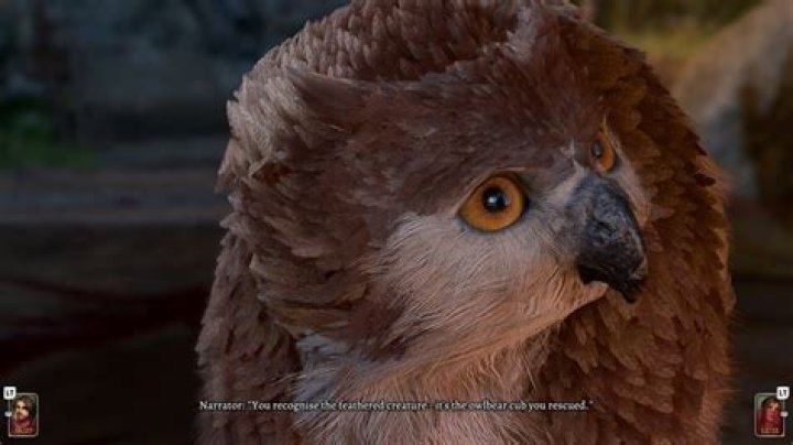 How to Fix Owlbear Cub Not Showing Up in Baldur's Gate 3