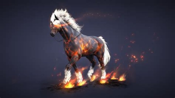 How to get a horse in Black Desert Online