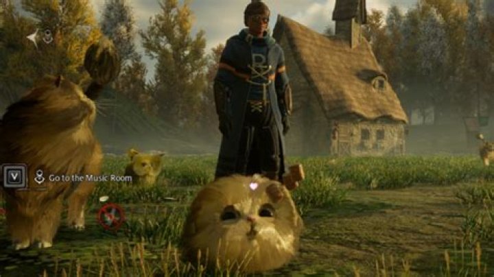 How to Get a Puffskein in Hogwarts Legacy