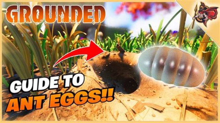 How to get Ant Eggs in Grounded