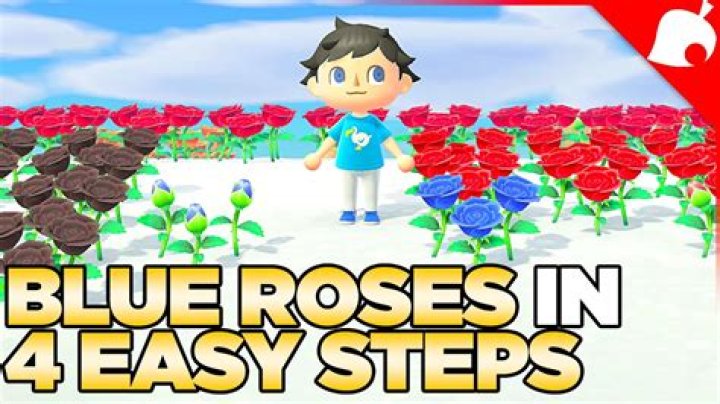 How to get blue roses in Animal Crossing: New Horizons