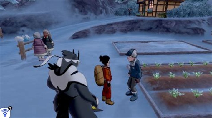 How to get Carrot Seeds in Pokémon Sword and Shield's Crown Tundra