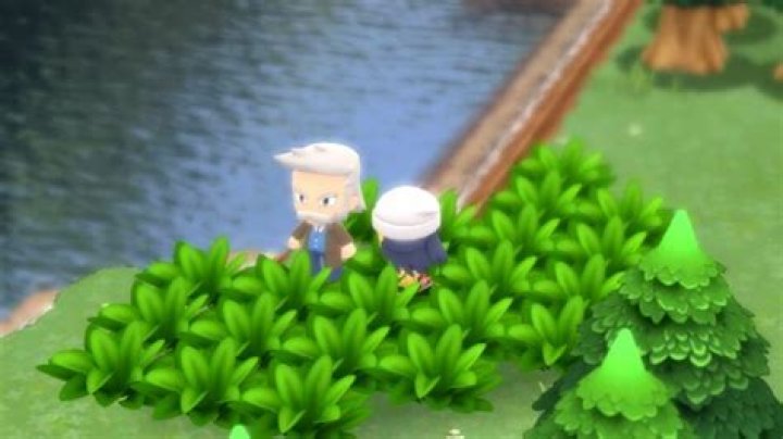 How to get Hidden Abilities in Pokémon Brilliant Diamond and Shining Pearl