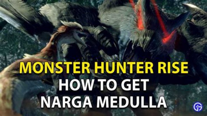 How to get Narga Medulla in Monster Hunter Rise