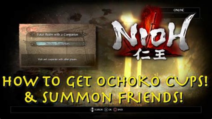 How to get Ochoko Cups in Nioh 2