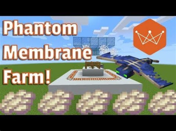 How to Get Phantom Membranes in Minecraft