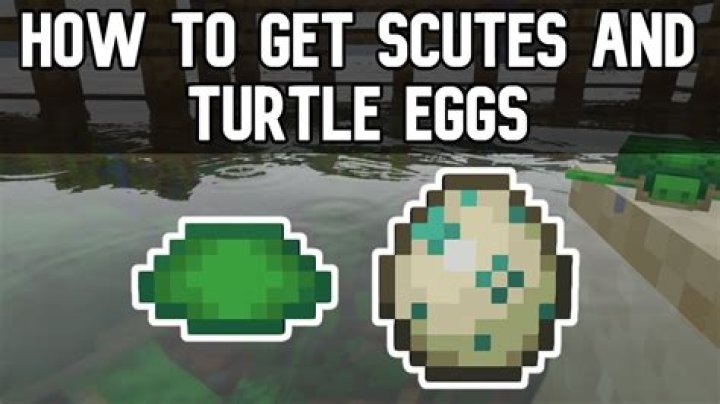 What are Scutes & How to Get Scutes in Minecraft?