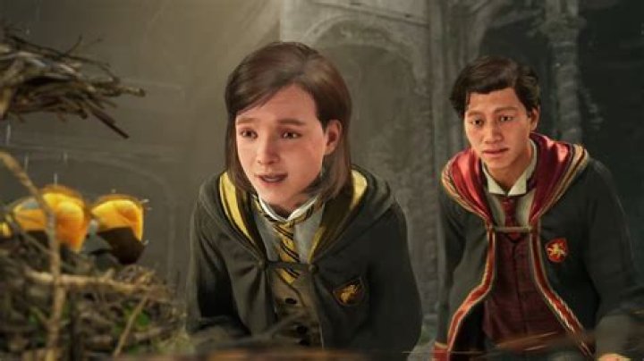 How to get sorted into Hufflepuff in Hogwarts Legacy