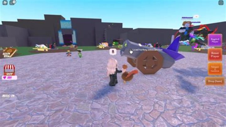 How to get the Cooked Turkey ingredient in Roblox Wacky Wizards?