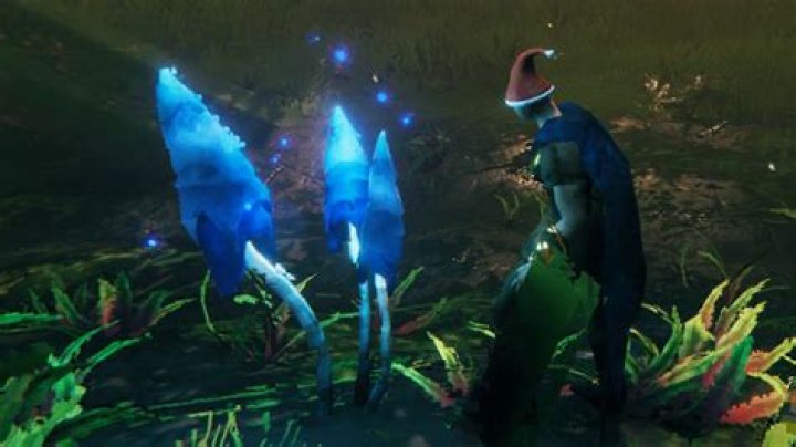 How to get the Mage Cap in Valheim