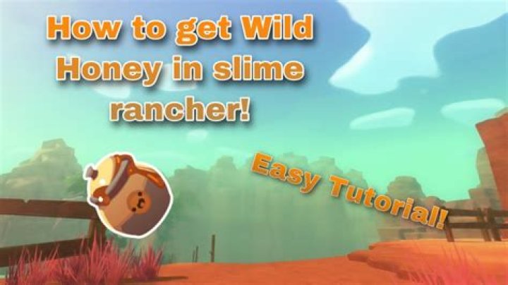 How to get Wild Honey in Slime Rancher 2