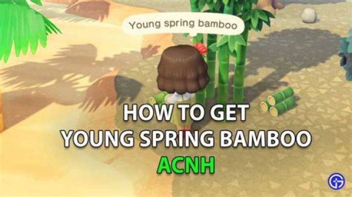 How To Get Young Spring Bamboo In ACNH Quickly