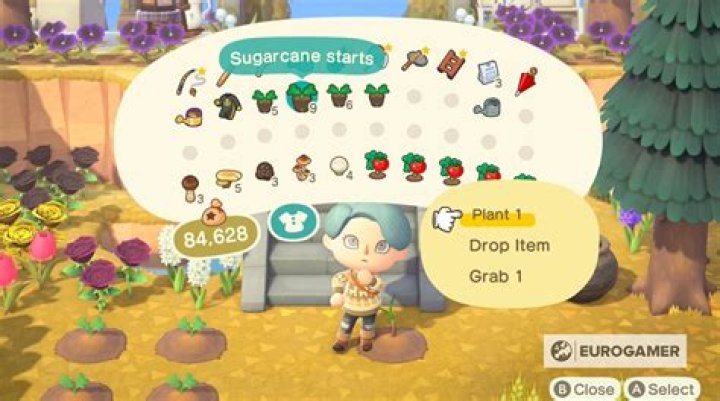 How to grow sugarcane in Animal Crossing: New Horizons’ 2.0.0 Update