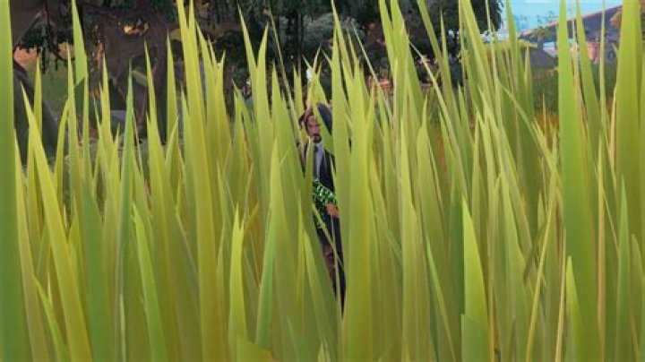 How to hide in tall grass for 10 seconds in Fortnite