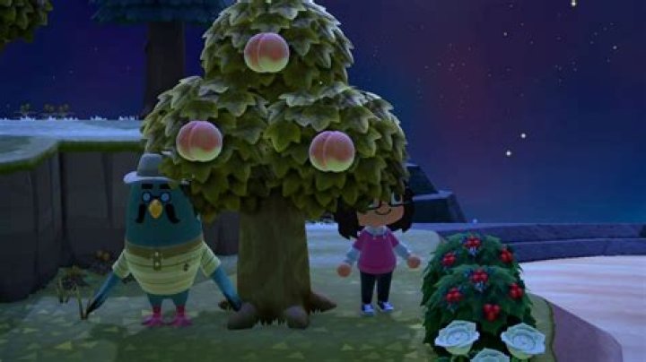 How to invite Brewster to your island in Animal Crossing New Horizons' 2.0.0 Update