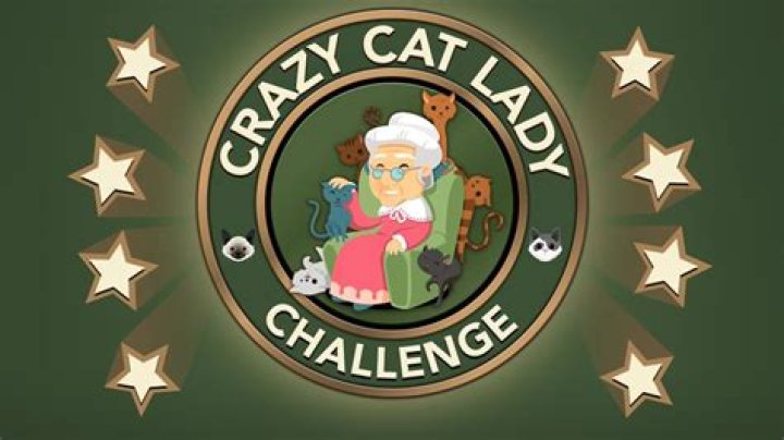 How to own five cats with high craziness in Bitlife?