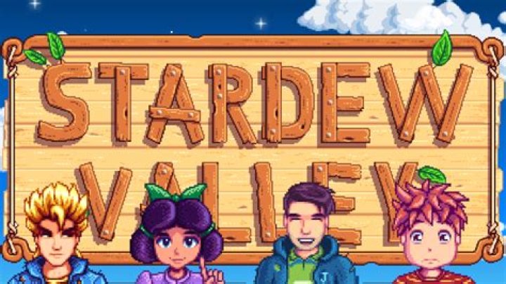 How to Play Stardew Valley Co-op Online and Splitscreen