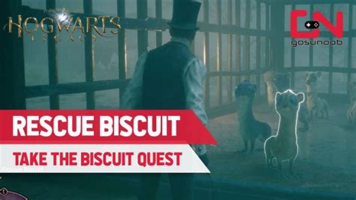 How to rescue Biscuit in Hogwarts Legacy