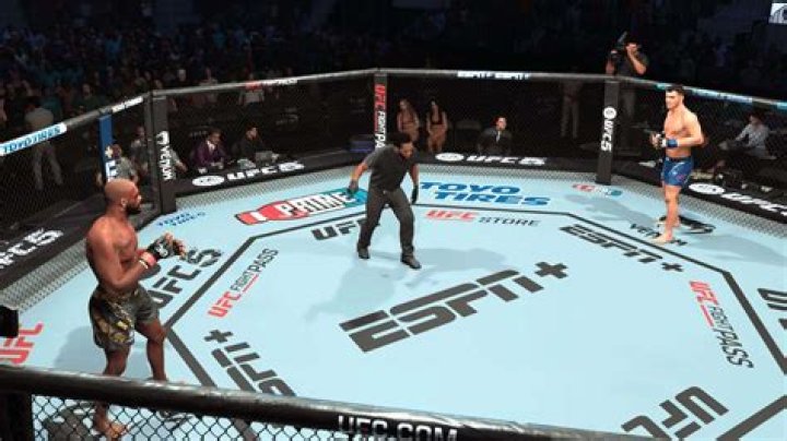 How To Perform Running Punches And Flying Knees in UFC 4?