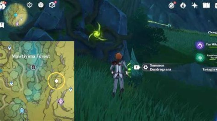 How to solve the hidden Dendro Barrier Luxurious Chest puzzle in Mawtiyima Forest in Genshin Impact