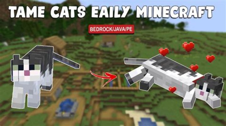 
How to Tame Cats in Minecraft