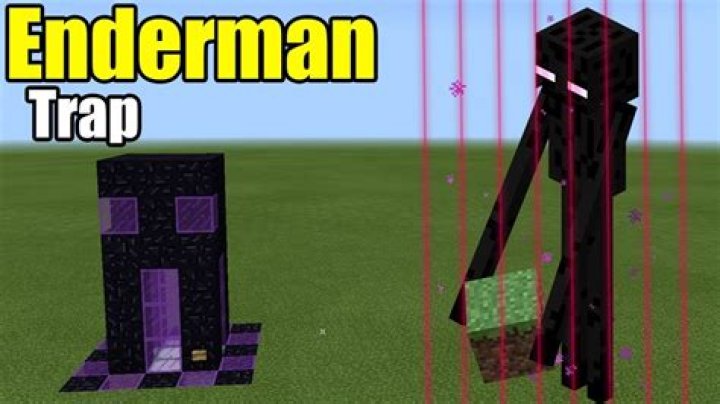 How to trap an Enderman in Minecraft