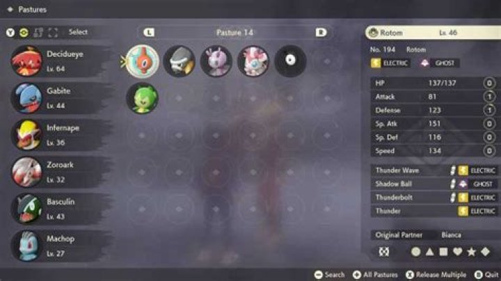 How to unlock Mass Release at pastures in Pokémon Legends: Arceus