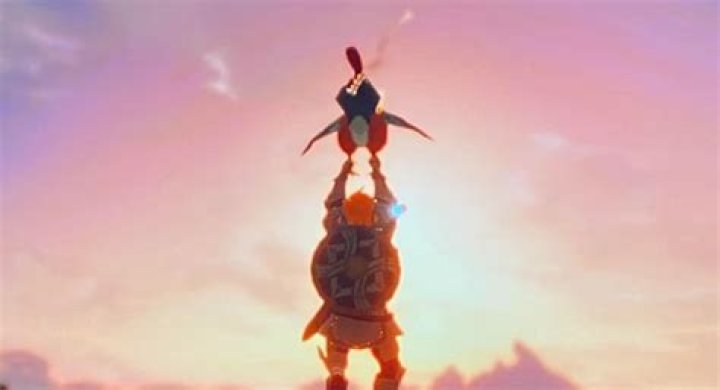 Hyrule Warriors: Age of Calamity - Don't Miss The Extremely Rare Cucco Riding Easter Egg