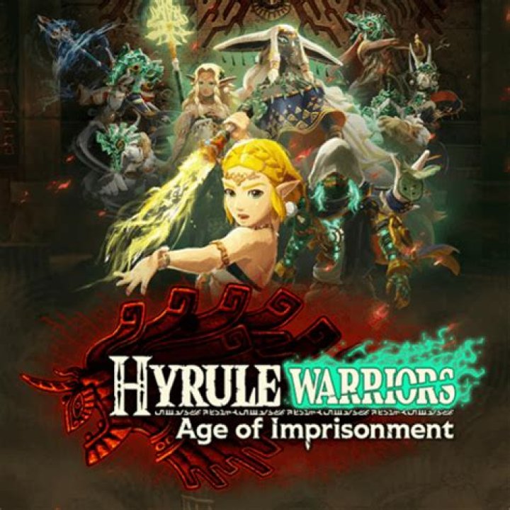 
Hyrule Warriors Won’t Have Online Co-op Multiplayer