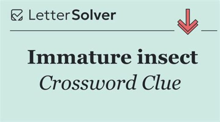 Immature beetles crossword clue answer