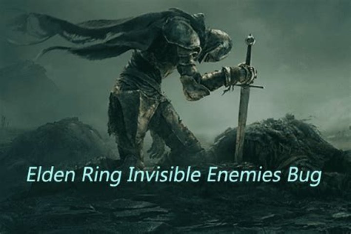 Invisible enemies bug in Elden Ring – How to fix