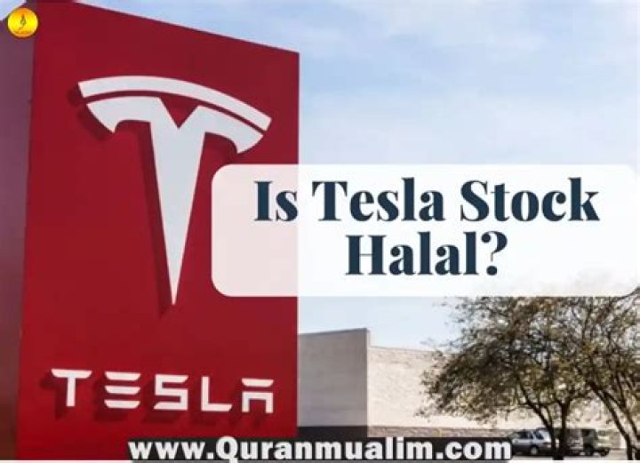 Is Tesla halal stock?