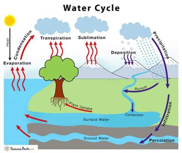 Label The Parts of the Water Cycle Quiz
