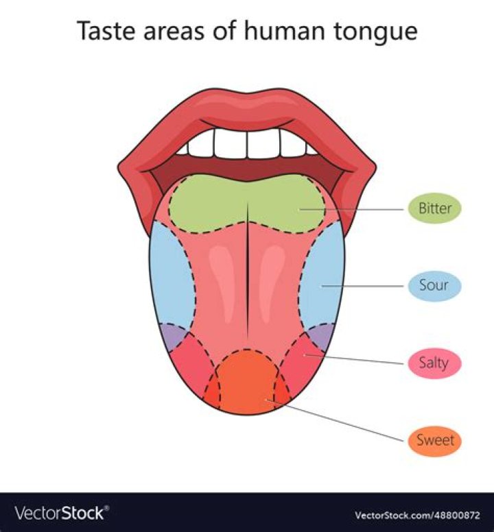 label the tongue Quiz