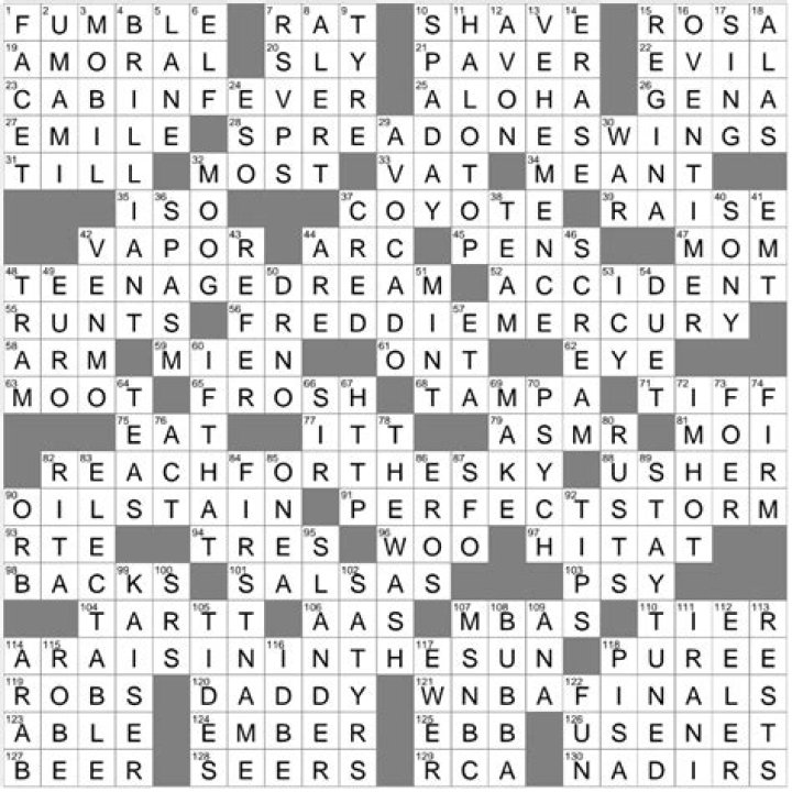 Laundry room convenience crossword clue answer