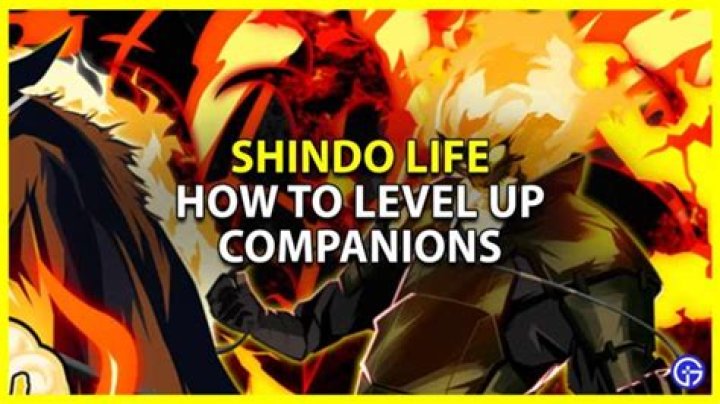 How To Level Up Companions In Shindo Life