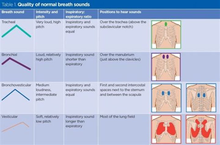 Lung Sounds, Adventious Breath Sounds Quiz