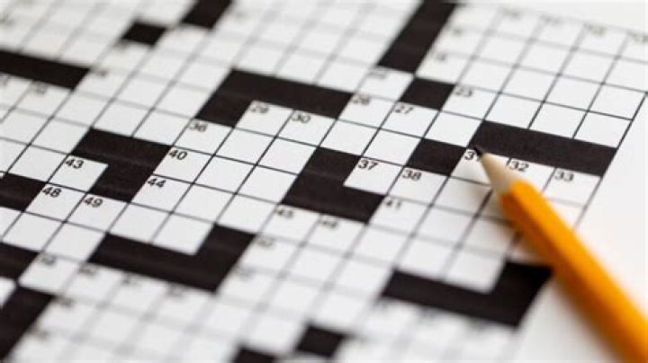 Maker of inedible chips crossword clue answer