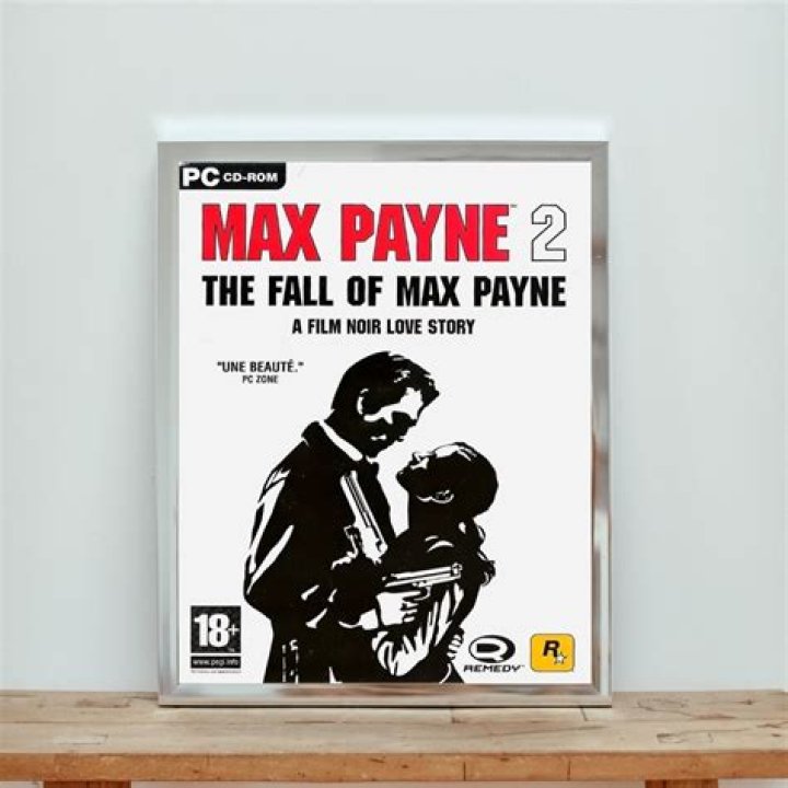 Max Payne, Box Art Covers, and Skyrim in Real Life