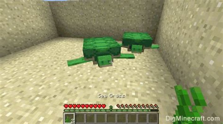 Minecraft: How-to Breed Turtles – Babies, Scutes, and Hatching Eggs!