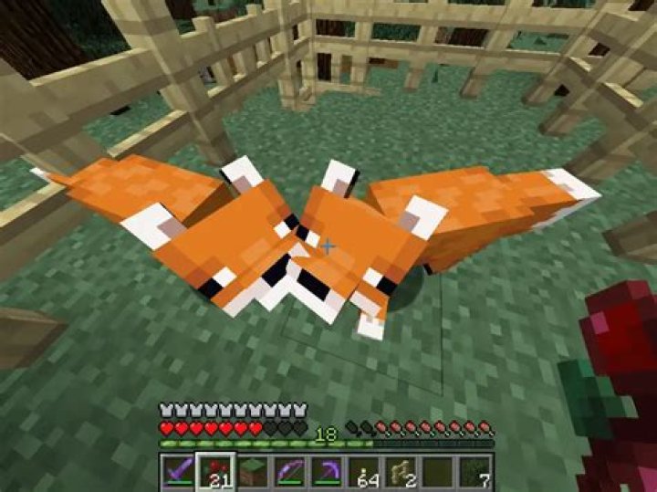 How To Tame A Fox In Minecraft (Make A New Fox Friend)