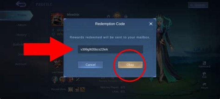 Mobile Legends Bang Bang Redeem Codes (June 2022)