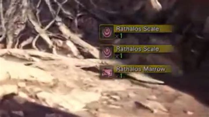 Where To Get Rathalos Marrow In MHR