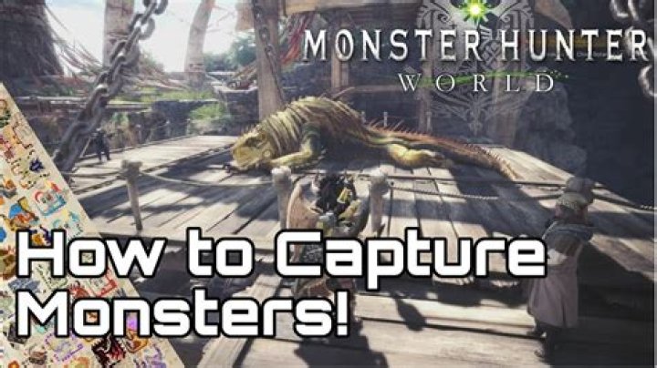 
Monster Hunter World Guide: How to Capture A Monster