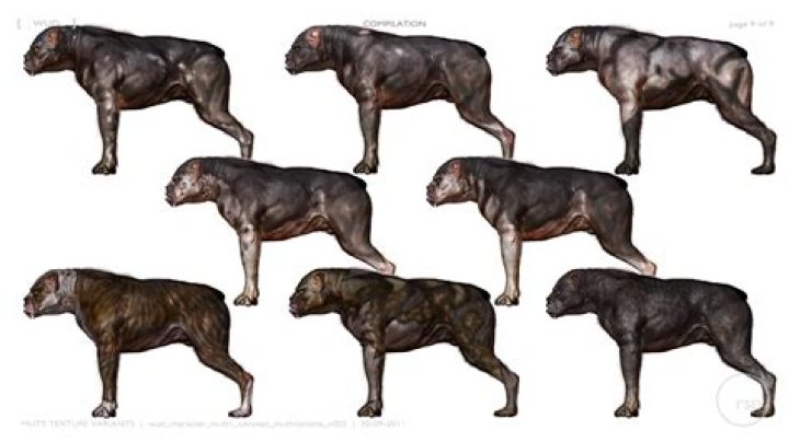 Mutts of the Hunger Games