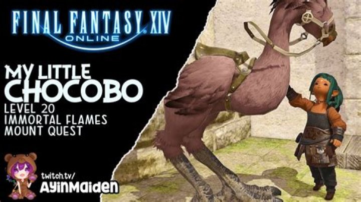 How To Get My Little Chocobo In FFXIV?