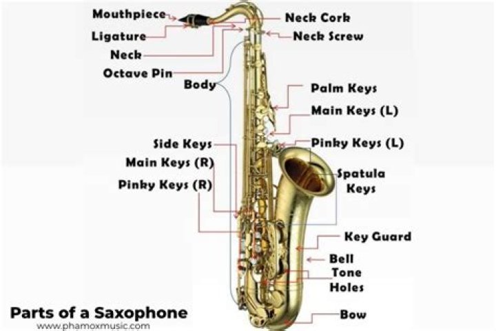 Name the parts of the saxophone Quiz