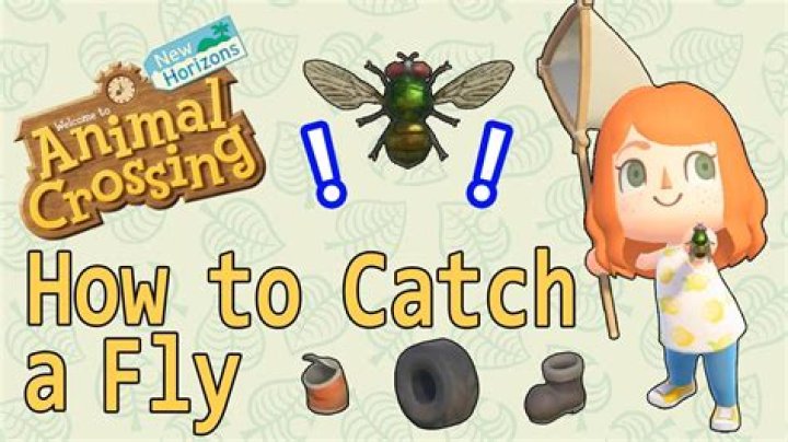 Animal Crossing New Horizons – How to Catch a Fly